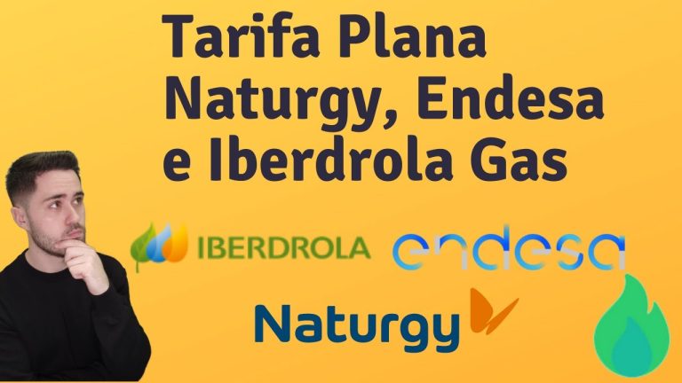 Iberdrola y Naturgy, ¿similares o iguales en la energía?